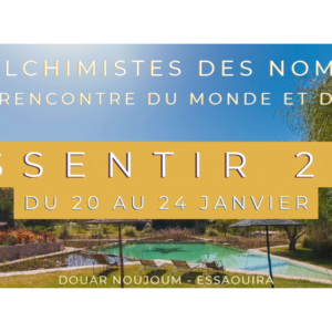 Stage à Essaouira, péparer 2026